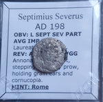 #M804# Roman silver denarius coin of Septimius Severus from 198 AD