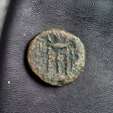 #e835# Greek Seleucid Bronze Coin of Antiochos II from 261-246 BC