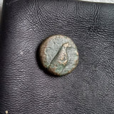 #L700# Anonymous Greek City Issue Bronze Coin of Kyme 350-250 BC