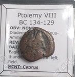 #L019# Greek Ptolemaic coin of King Ptolemy VIII, 134-129 BC