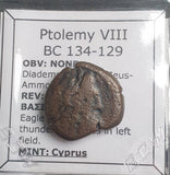 #L019# Greek Ptolemaic coin of King Ptolemy VIII, 134-129 BC