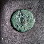 #o580# Greek bronze ae16 Macedonian coin of King Antigonos II from 278-239 BC