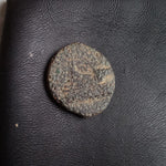 #o502# Greek Cyprus coin of King Nikokreon, 322-310 BC