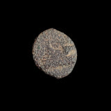 #o502# Greek Cyprus coin of King Nikokreon, 322-310 BC