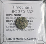 #o501# Greek Cyprus coin of King Timocharis, 350-332 BC