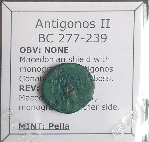 #o580# Greek bronze ae16 Macedonian coin of King Antigonos II from 278-239 BC