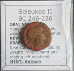 #o514# Greek bronze Seleucid coin of Seleucus II from 246-226 BC