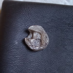 #o475# Anonymous Silver Greek Hemiobol coin Cherronesos 500-400 BC