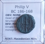 #o542# Greek ae19 bronze coin of Philip V, minted between 186-168 BC