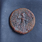 #o594# Anonymous Sicilian Greek coin from Akragas, 400-241 BC