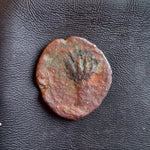 #o635# Anonymous Greek City Issue coin from Leontini, 207-200 BC