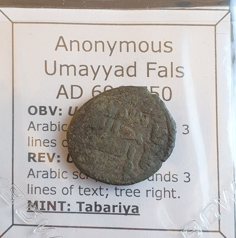 #o661# Anonymous Umayyad Fals copper coin from 696-750 AD