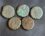 Lot of 10 Identified Seleucid Greek Bronze coins of Antiochus IV from 175-164 BC