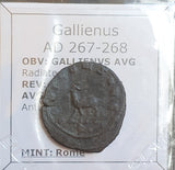 #o143# Roman Antoninianus coin of Gallienus from 260-268 AD (Antelope)