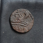 #o952# Roman Republican Æ Semis of Spanish-type from 206-195 BC