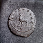 #o143# Roman Antoninianus coin of Gallienus from 260-268 AD (Antelope)