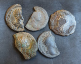 #lot 33b# Ex-dealers lot of 5 Ancient silver Roman coins from 103-206 AD