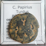 #o964# Roman Republican Æ AS coin of C. Papirius from 169-158 BC