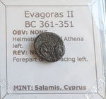 #P034# Cyprus Greek Bronze Coin of King Evagoras II from Salamis 361-351 BC