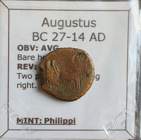 #i295# Roman provincial bronze coin of Augustus from BC 27-14 AD (Philippi)