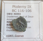 #P055# Greek bronze ae16 coin of Ptolemaic King Ptolemy IX from 116-106 BC