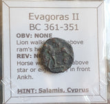 #P027# Cyprus Greek Bronze Coin of King Evagoras II from Salamis 361-351 BC