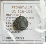 #P050# Greek bronze ae14 coin of Ptolemaic King Ptolemy IX from 116-106 BC