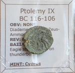 #P101# Greek bronze ae16 coin of Ptolemaic King Ptolemy IX from 116-106 BC