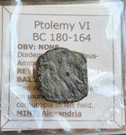 #P053# Greek bronze coin of Ptolemaic King Ptolemy VI from 180-164 BC