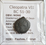 #P044# Greek Ptolemaic coin of Queen Cleopatra VII, 51-30 BC