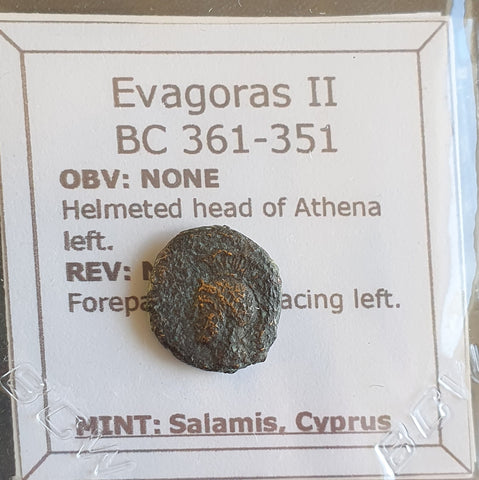 #P033# Cyprus Greek Bronze Coin of King Evagoras II from Salamis 361-351 BC