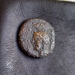 #P033# Cyprus Greek Bronze Coin of King Evagoras II from Salamis 361-351 BC