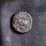 #P033# Cyprus Greek Bronze Coin of King Evagoras II from Salamis 361-351 BC