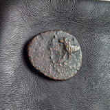 #P026# Cyprus Greek Bronze Coin of King Evagoras II from Salamis 361-351 BC