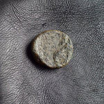 #P097# Greek Ptolemaic coin of Queen Cleopatra VII, 51-30 BC