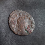 #i316# Roman Antoninianus coin of Gallienus from 262 AD