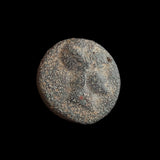 #P038# Greek Macedonian coin of King Demetrios I, 306-283 BC