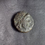 #P050# Greek bronze ae14 coin of Ptolemaic King Ptolemy IX from 116-106 BC