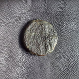 #P050# Greek bronze ae14 coin of Ptolemaic King Ptolemy IX from 116-106 BC