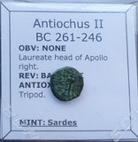 #p184# Greek Seleucid Bronze Coin of Antiochus II from 261-246 BC