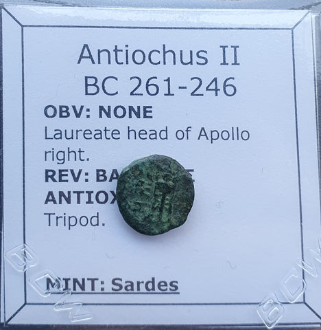 #p184# Greek Seleucid Bronze Coin of Antiochus II from 261-246 BC