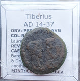 #N100# Roman provincial bronze coin of Tiberius from 14-37 AD (Spain)