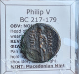 #J299# Greek ae23 bronze coin of Philip V, minted between 217-179 BC