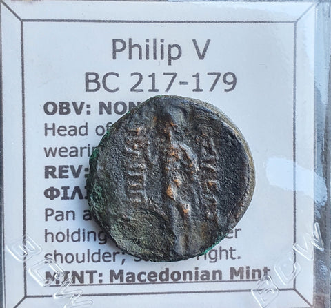 #J299# Greek ae23 bronze coin of Philip V, minted between 217-179 BC