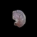 #p198# Italian medieval coin issued under Cabrino Fondulo, 1413-1420 AD