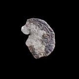 #p198# Italian medieval coin issued under Cabrino Fondulo, 1413-1420 AD