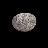 #P227# Roman Republican silver Quinarius coin C.  Fundanius from 101 BC