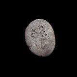 #P227# Roman Republican silver Quinarius coin C.  Fundanius from 101 BC