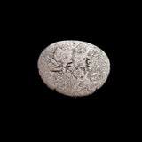 #P227# Roman Republican silver Quinarius coin C.  Fundanius from 101 BC