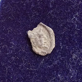 #P228# Anonymous silver Greek city issue coin from uncertain Cilician Mint 400 BC